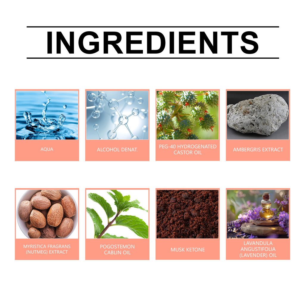 Roxelis Ambre Gris Parfum de Niche Parfum Blues Boisé Phéromones Fragrance Parfum Frais Pour Hommes et Femmes