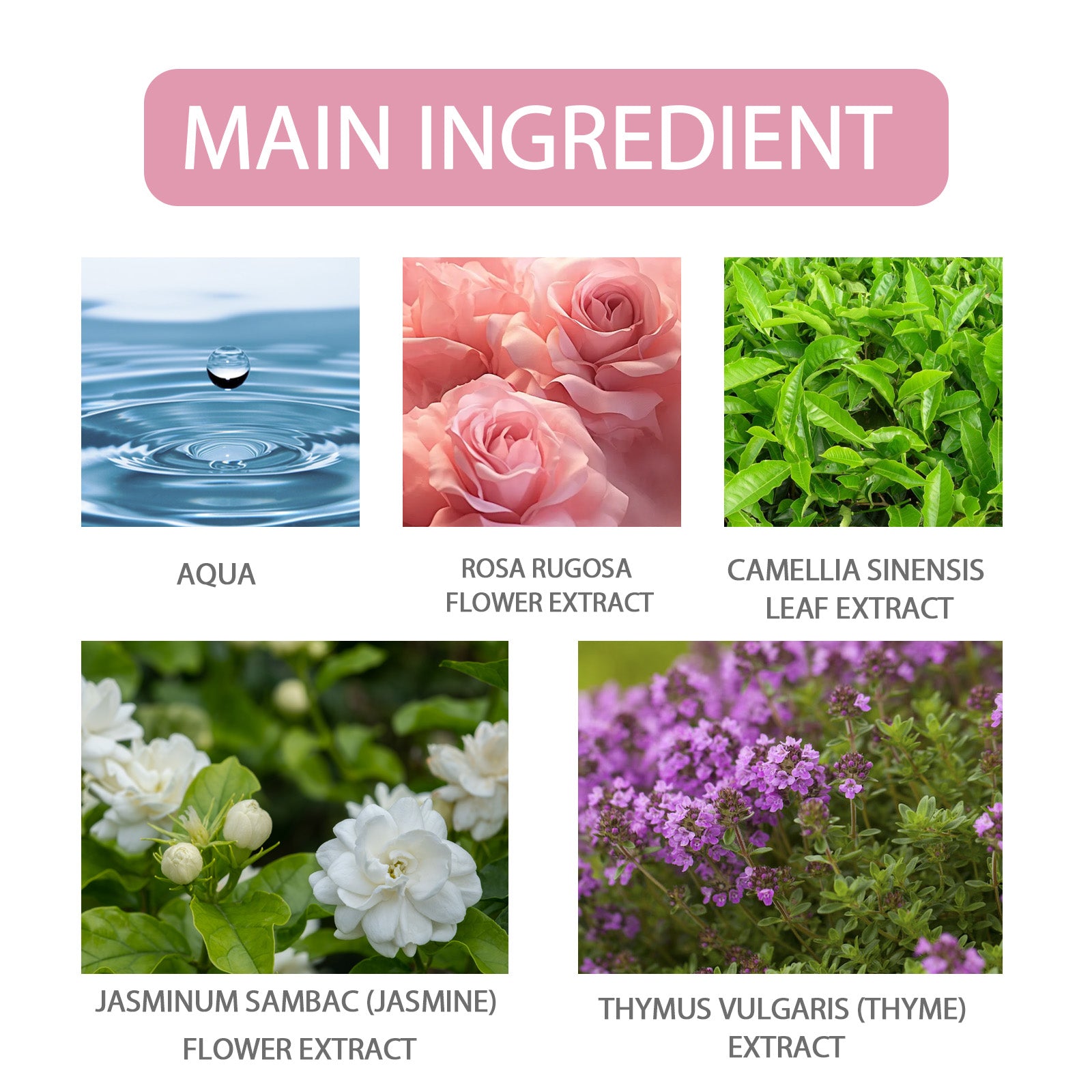 Parfum aux phéromones de rose, fragrance fraîche et légère, ambiance romantique, dégage du charme, longue tenue, pour femme.