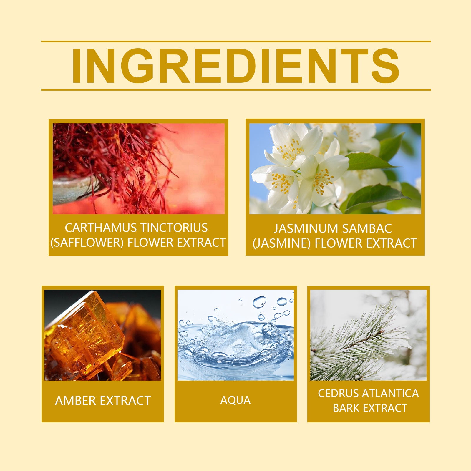 Parfum Roxelis au safran et au jasmin, fragrance naturelle, fraîche et longue durée, en spray