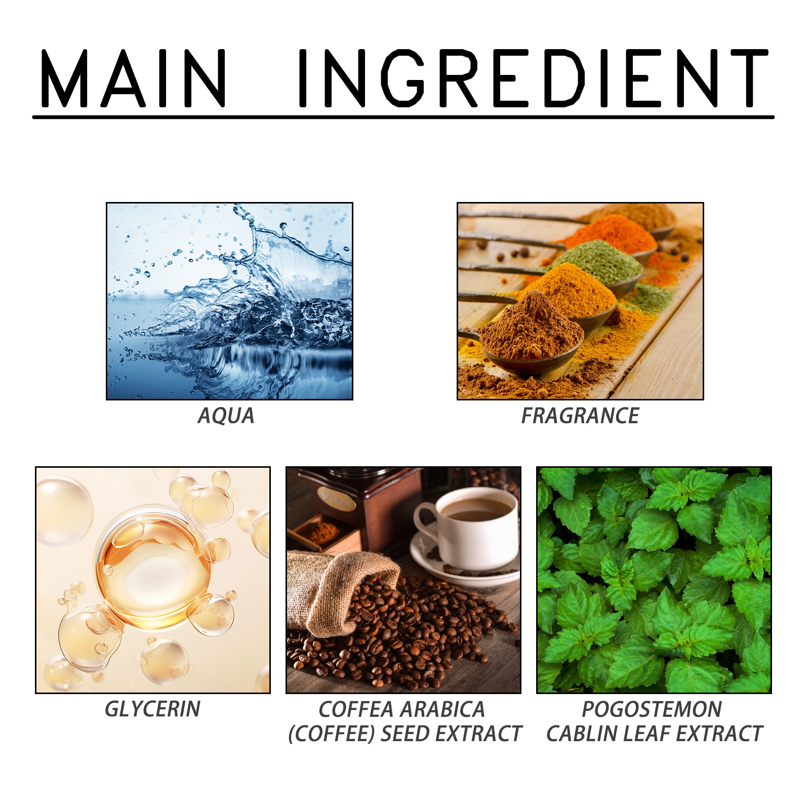 Roxelis Café Patchouli Parfum Naturel Frais Léger Élégant Longue Durée Sillage Parfum de Charme Ambiance Rendez-vous